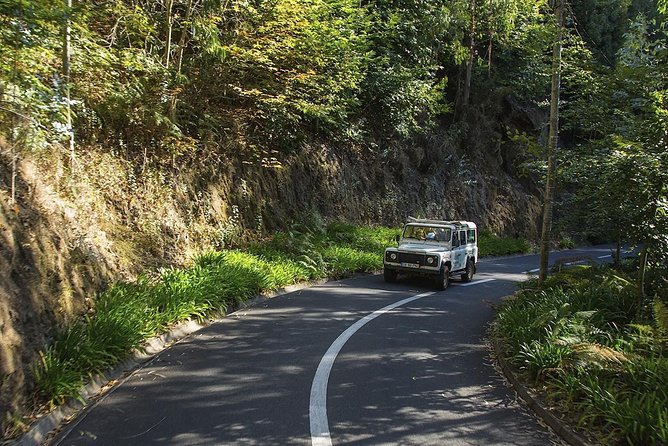 Nun's Valley & Sea Cliff - Half Day - Shared Tour - Câmara de Lobos: the quick, free village break