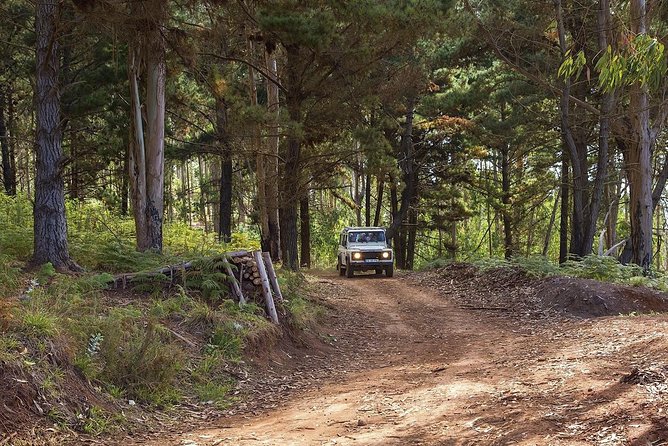 Nun's Valley & Sea Cliff - Half Day - Shared Tour - The guide and driver factor: commentary can make or break the ride