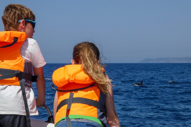 Observation of Dolphins and Whales with Marine Biologist in Arrábida - Caves, Cliffs, and Wild Coves: The Coast Side You Don’t Get from Shore
