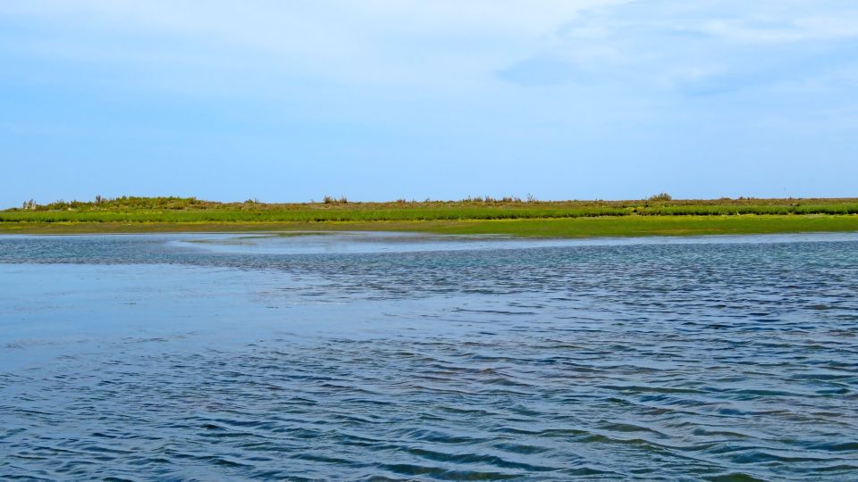 Olhão: 3-Hour Ria Formosa Boat Tour - Stop 1: the desert island beach for swimming and a sand break