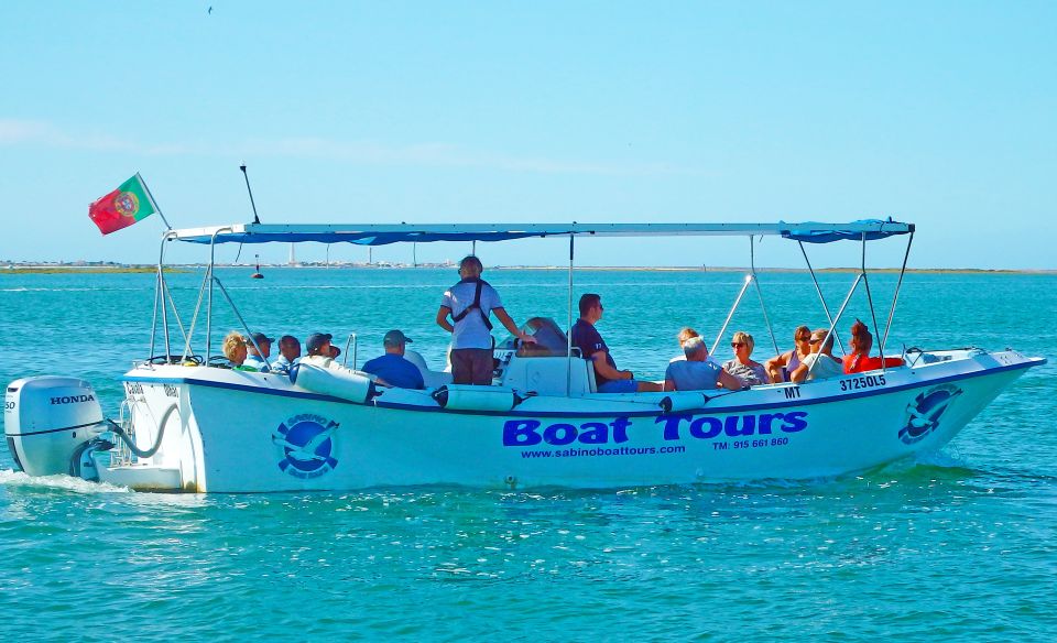 Olhão: 3-Hour Ria Formosa Boat Tour - Wildlife and nature realism: birds, shells, and the “changing lagoon” factor