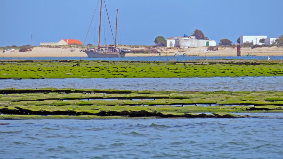 Olhão: 3-Hour Ria Formosa Boat Tour - What to pack: swim gear and sun basics