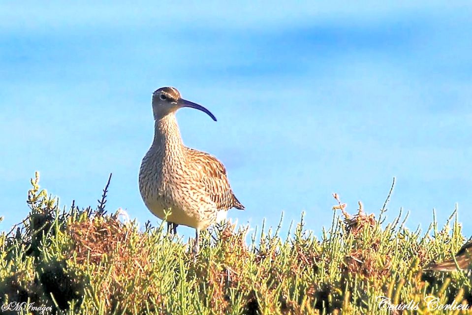 Olhão: 3 Islands Guided Sightseeing Tour with Lunch - From Olhão to the Ria Formosa: the boat ride and the 20-minute start