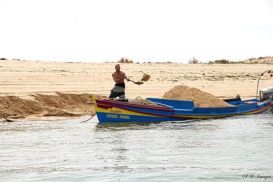 Olhão: 3 Islands Guided Sightseeing Tour with Lunch - Price and value: what $88 really buys in 5.5 hours