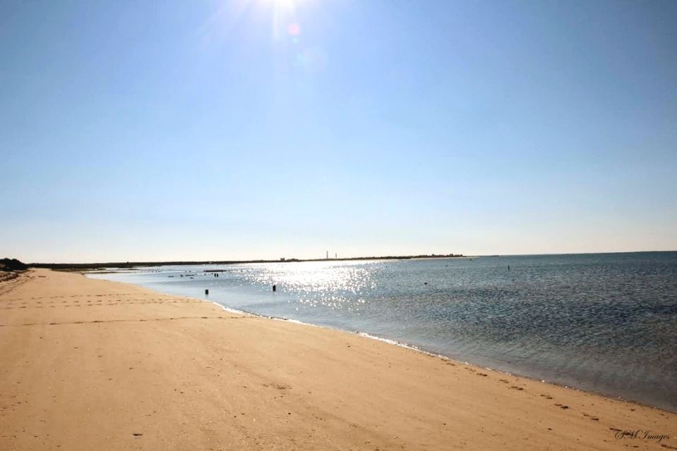 Olhão: 3 Islands Guided Sightseeing Tour with Lunch - Who should book this 3-island tour with lunch