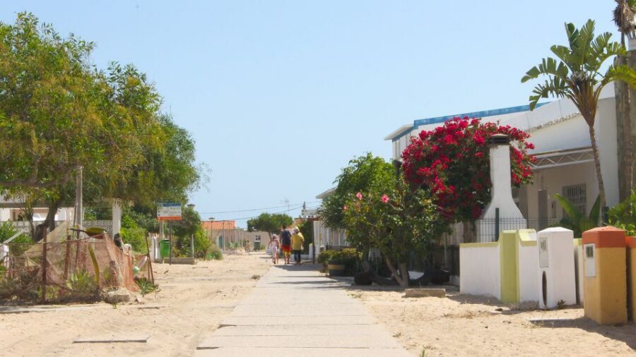 Olhão: 4-Hour Ria Formosa Islands Tour - Quick Hits Before You Go