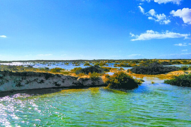 Olhão: 5H PRIVATE Guided Boat Tour, Slow Tourism in Ria Formosa. - Why Ria Formosa from Olhão feels special