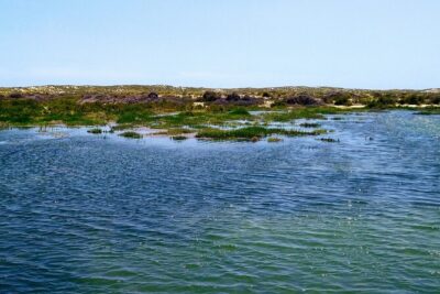 Olhão: 5H PRIVATE Guided Boat Tour, Slow Tourism in Ria Formosa. - The Venture boat: comfort you actually use