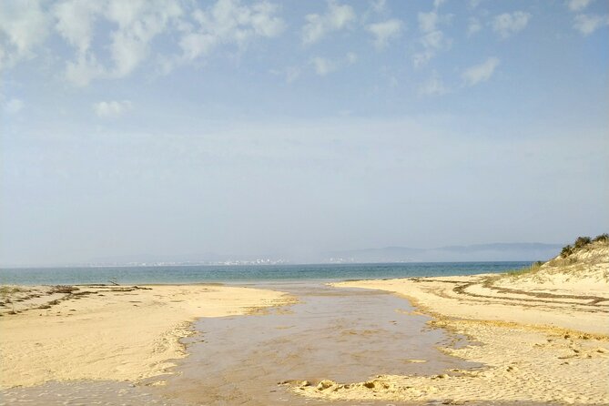 Olhão: 5H PRIVATE Guided Boat Tour, Slow Tourism in Ria Formosa. - Itinerary walkthrough: what each stop is likely for