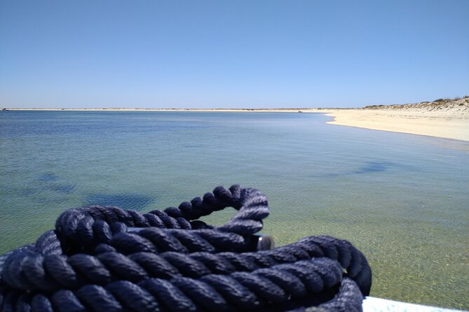 Olhão: 5H PRIVATE Guided Boat Tour, Slow Tourism in Ria Formosa. - Price: when $778.87 per group makes sense (and when it doesn’t)