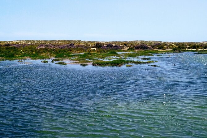 Olhão: 5H PRIVATE Guided Boat Tour, Slow Tourism in Ria Formosa. - The Venture boat: comfort you actually use