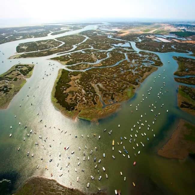 Olhão: Ria Formosa 2 Islands Boat Tour - Who this tour suits best (and who might want a different plan)