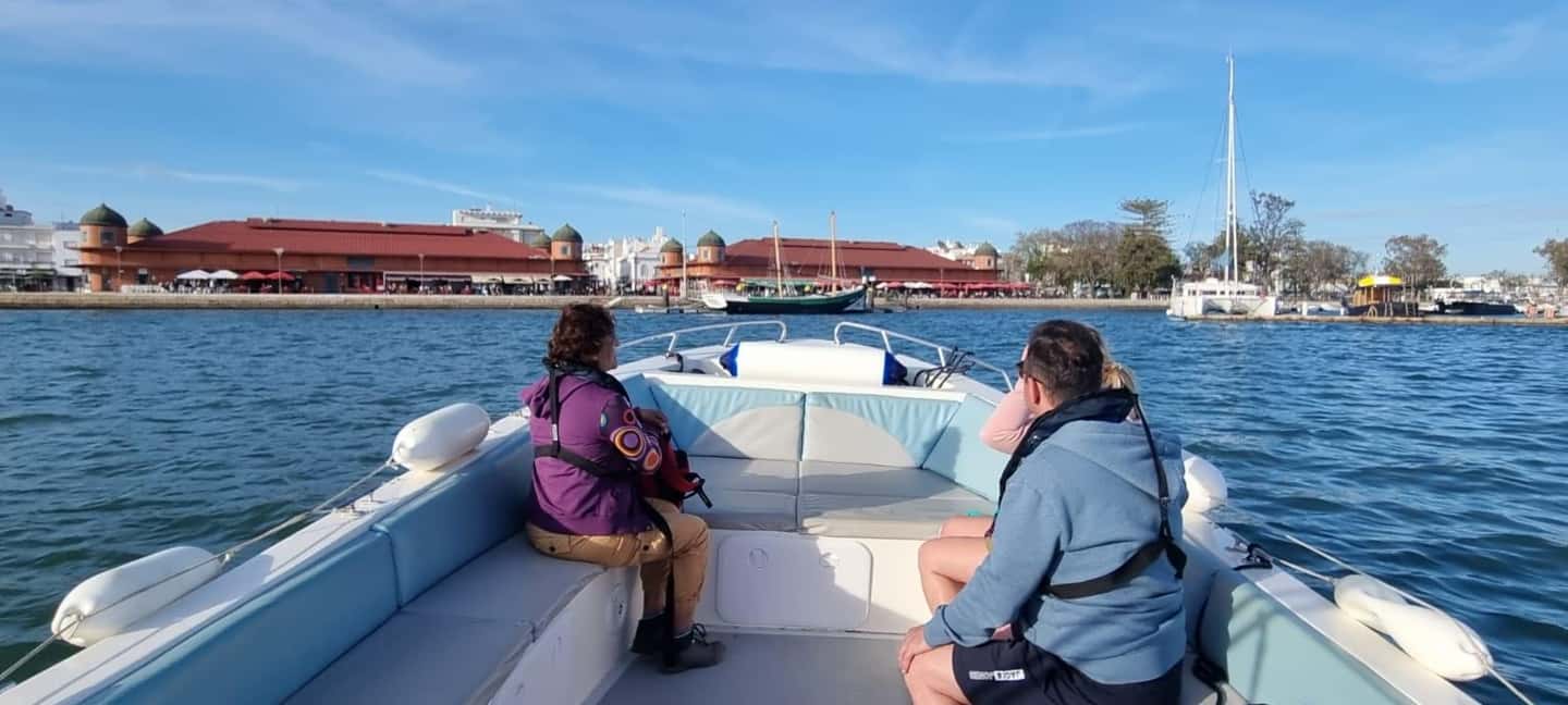 Olhão: Ria Formosa 2 Islands Boat Tour - The lagoon cruise segments: channels, birds, and the dolphins question