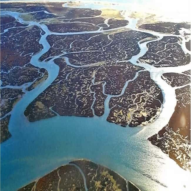 Olhão: Ria Formosa 2 Islands Boat Tour - Culatra Island: fishing village time (and how not to misjudge the 1 hour)