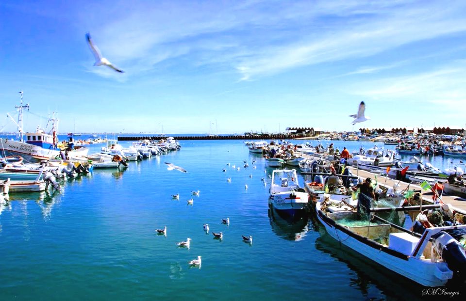 Olhão: Ria Formosa 3 Islands Guided Day Trip by Boat - When to book and how timing affects sunsets and swimming
