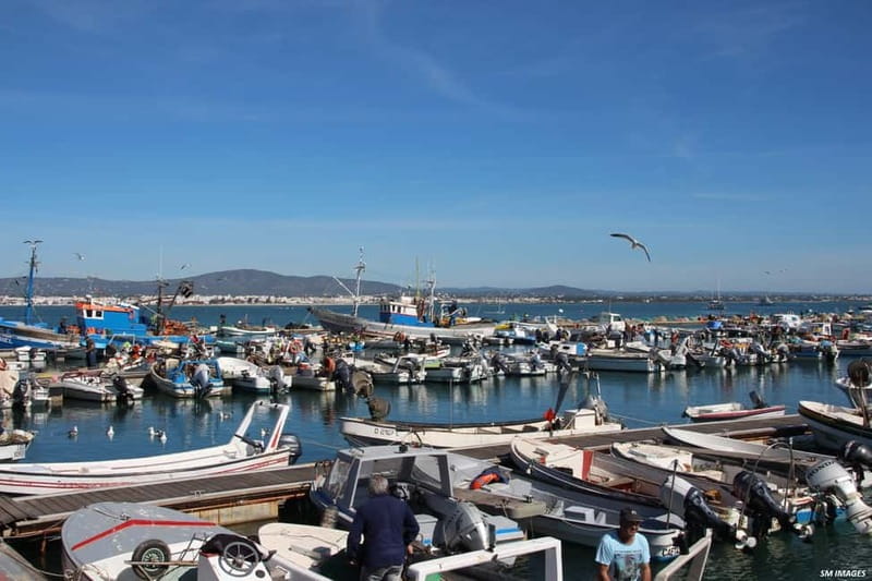 Olhão: Ria Formosa 3 Islands Guided Day Trip by Boat - Culatra Island walk time plus the oyster and clam farm connection