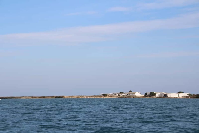 Olhão: Ria Formosa 3 Islands Guided Day Trip by Boat - Boat comfort, safety, and what to bring for a smooth day
