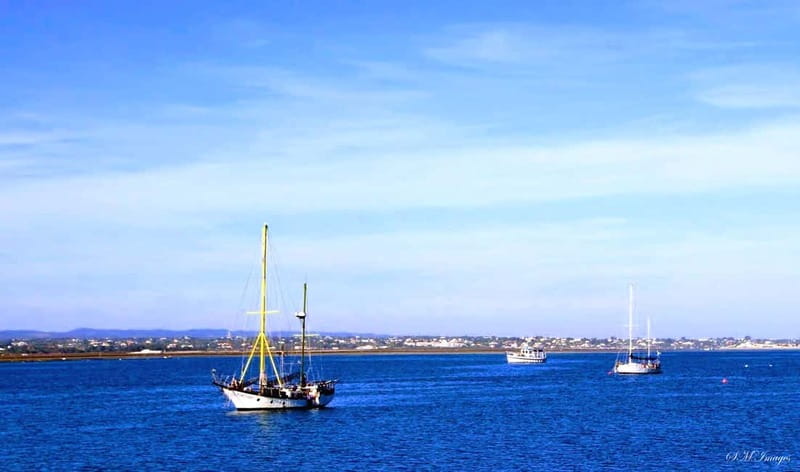 Olhão: Ria Formosa 3 Islands Guided Day Trip by Boat - Price and value: is $58 for 5 hours a good deal?