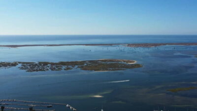 Olhão: Ria Formosa National Park and Islands Boat Cruise - Navigating the Channels: Nature Lessons From the Captain