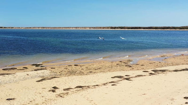 Olhão: Ria Formosa National Park and Islands Boat Cruise - Duration, Pace, and What You’ll Actually See in 3 Hours