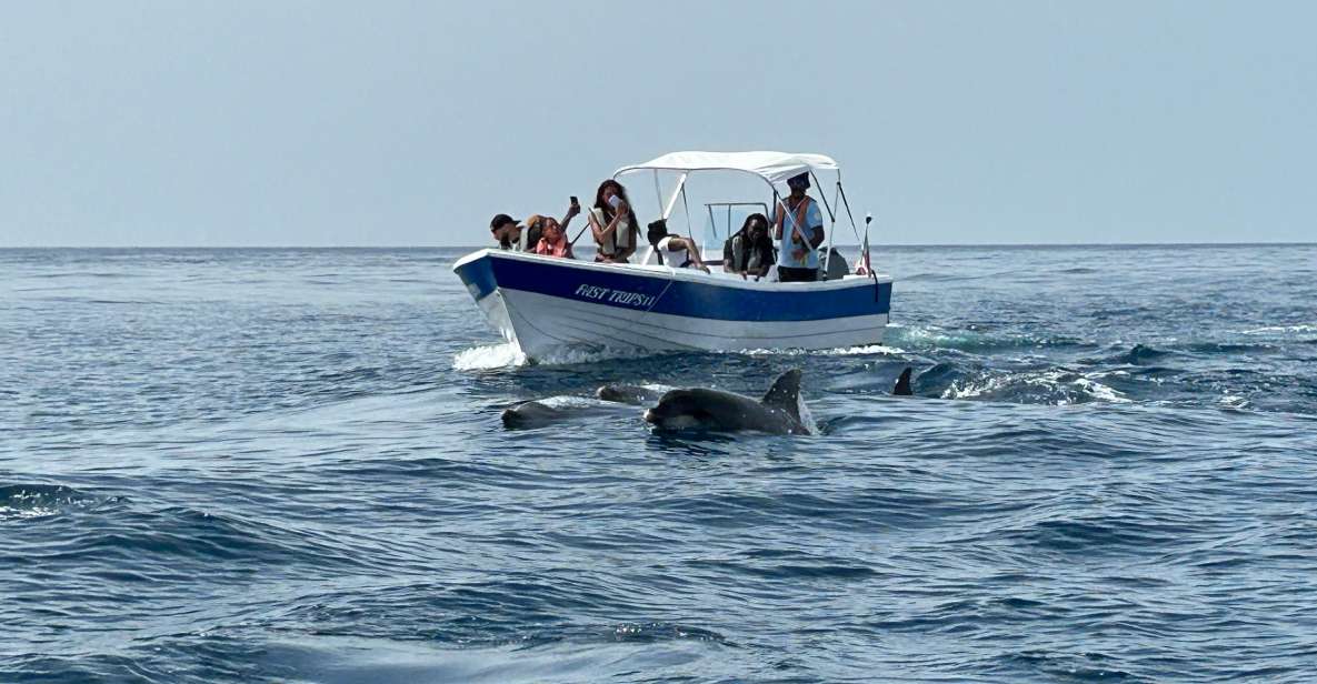 Olhão- Safari Watching Dolphins and other species - From Avenida 5 de Outubro into the Ria Formosa