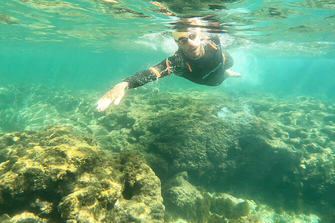 Open-Water Swimming in Algarve - Value Check: Is $72.29 Worth It?