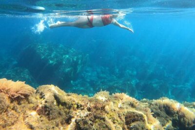 Open-Water Swimming in Madeira - The safety briefing and acclimatization swim that makes beginners feel steady