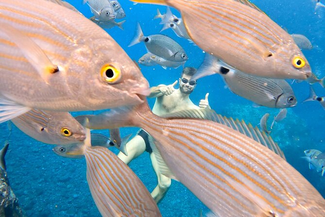 Open-Water Swimming in Madeira - What to bring (and what to skip) for Madeira ocean swimming