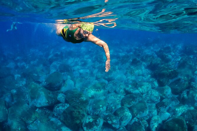 Open-Water Swimming in Madeira - Who this swim is best for (and who should consider another option)