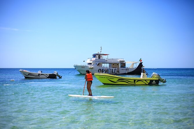 Ophelia Catamaran Cruises + Beach BBQ - A 6-hour Portimão catamaran day built around Benagil caves and beach BBQ