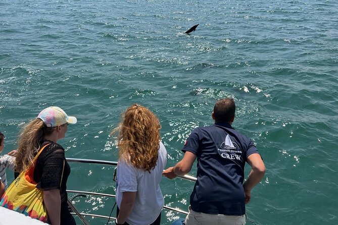 Panoramic Boat Tour with Drinks and Music - So, should you book this Lisbon dolphin cruise?