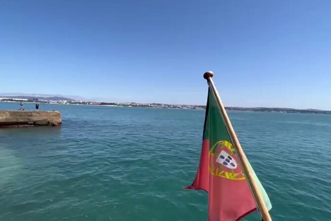 Panoramic Boat Tour with Drinks and Music - Chasing dolphins at the foz do Tejo: common in season, never certain