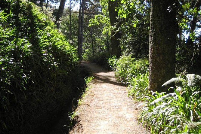 Paradise Valley - Levada Walk - Morning Pickup in Funchal That Actually Works