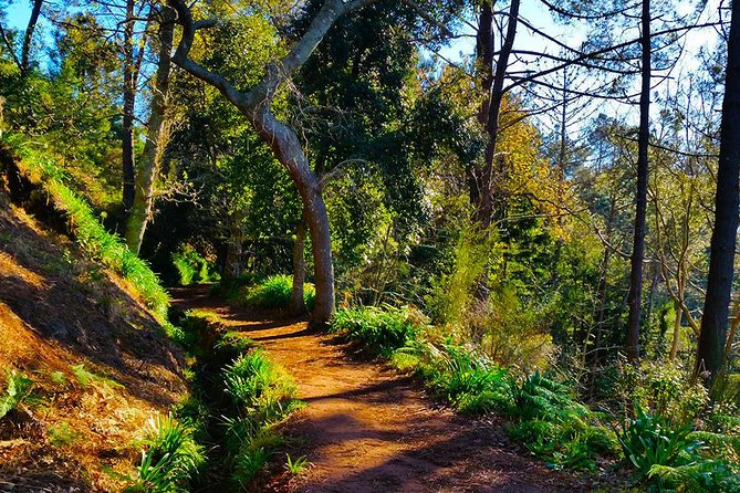 Paradise Valley - Levada Walk - Camacha Finish: Traditional Handicrafts Without the Whole-Day Commitment