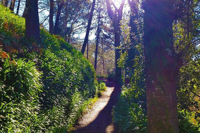 Paradise Valley - Levada Walk - Comfort Breaks and Food Reality (Plan for Snacks)
