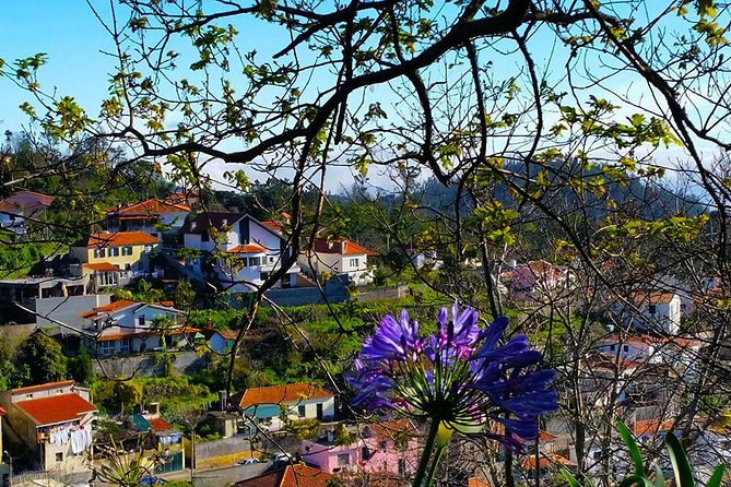 Paradise Valley - Levada Walk - What to Wear: Shoes, Dust, and Weather-Proof Thinking