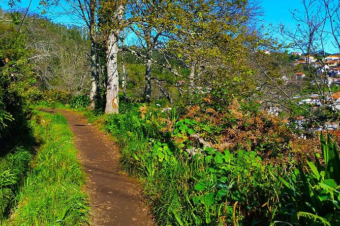 Paradise Valley - Levada Walk - Price and Value: Is $39.54 a Good Deal for Madeira?