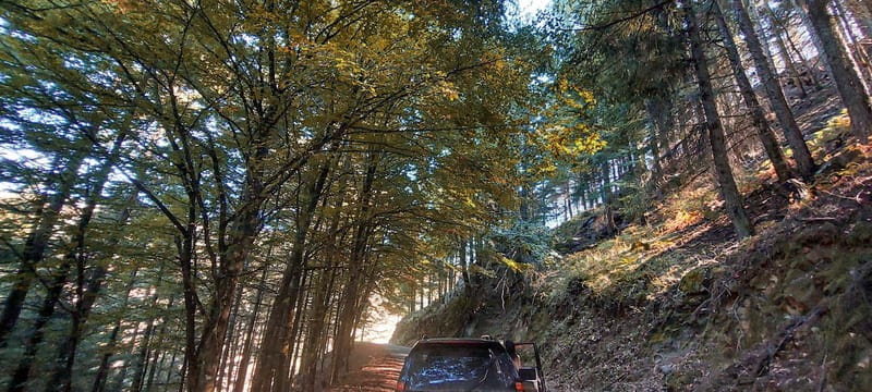 Passeio Guiado em 4x4 para conhecer a Serra da Estrela - Key points before you go