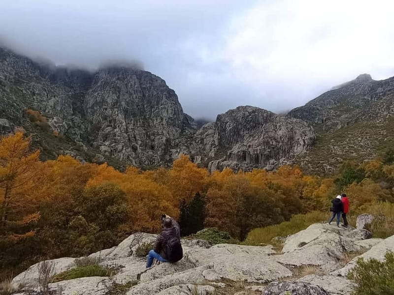 Passeio Guiado em 4x4 para conhecer a Serra da Estrela - Wildlife and flora: learning what you’re standing near