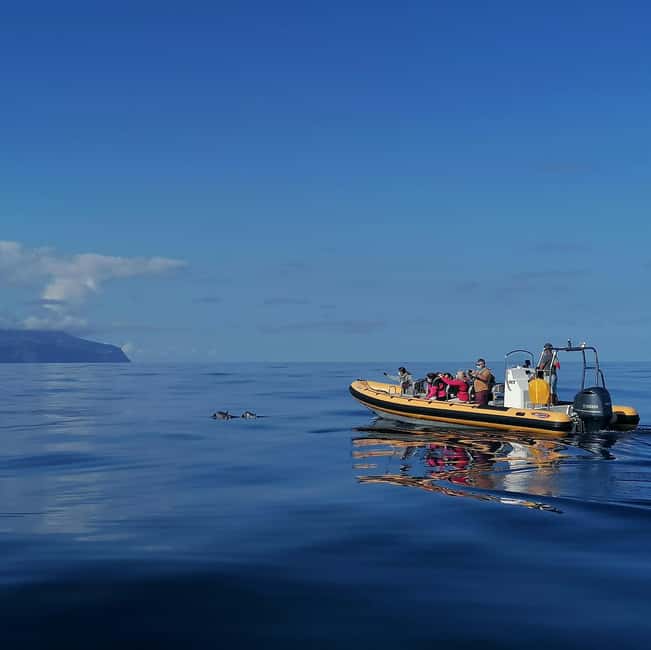 Passeios Turísticos: Trip to Corvo by Boat - Key highlights worth prioritizing
