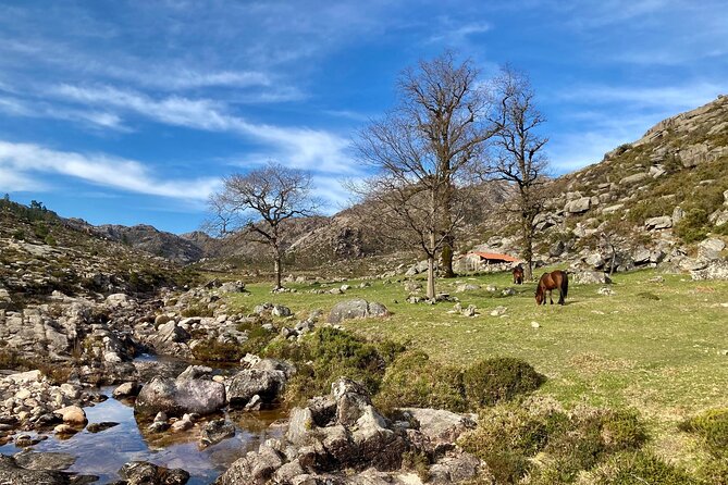 Peneda-Gerês Hiking & Sightseeing: Private Experience - Stop 2: Barragem de Vilarinho das Furnas Quick View (20 Minutes)