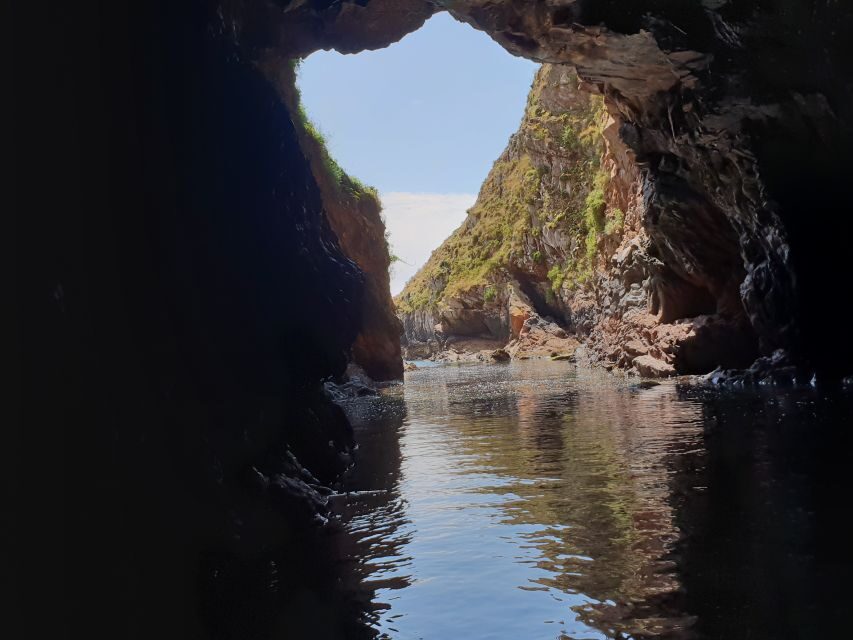 Peniche: Berlengas Roundtrip and Glass-Bottom Boat Cave Tour - How Long Is Enough? The 4-Hour Reality Check