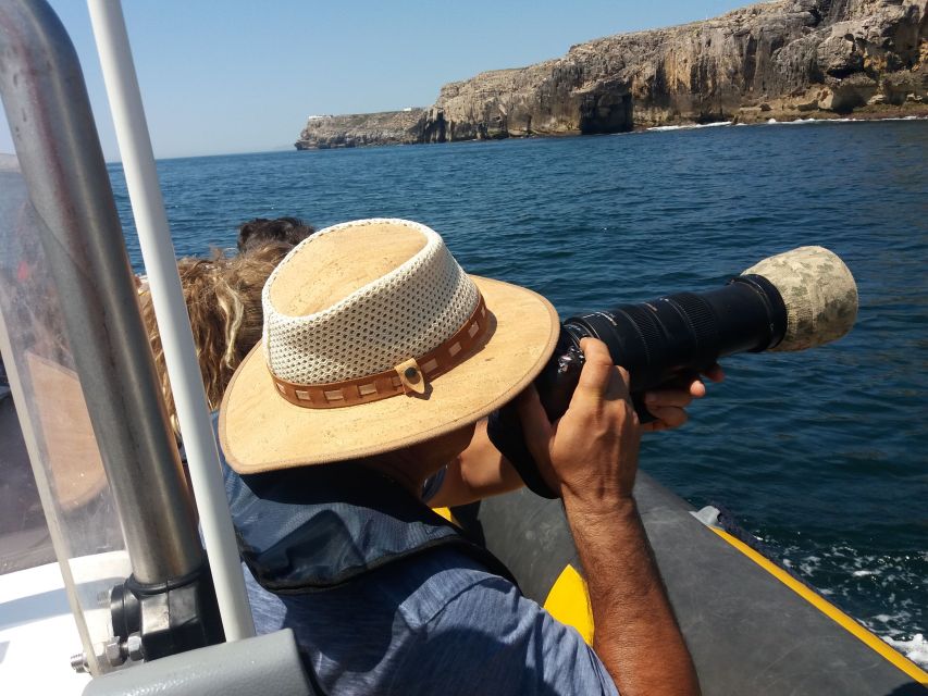 Peniche: Dolphin Route Boat Trip - Setting Off From Marina de Peniche (and Why It Matters)