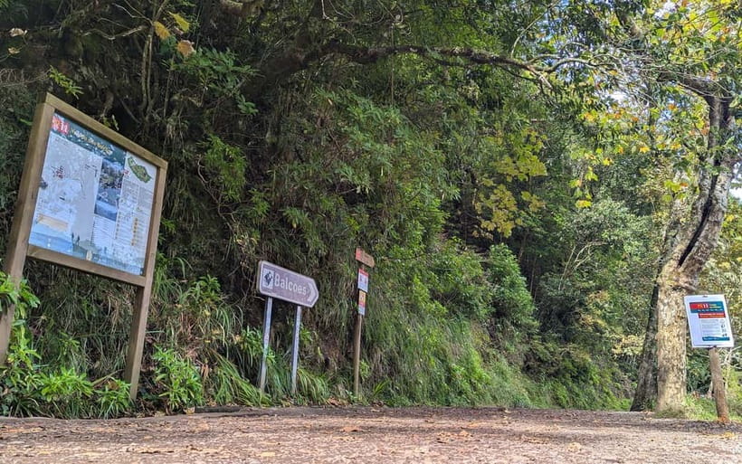 Pico do Arieiro in 4h: Immersive Private Tour - Terreiro da Luta: Views Over Funchal Before You Hit the Peaks