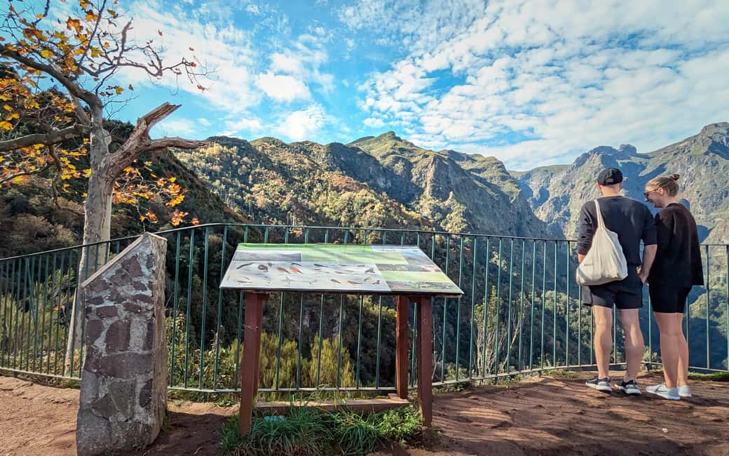 Pico do Arieiro in 4h: Immersive Private Tour - Timing, Pace, and Who This 4-Hour Tour Fits Best
