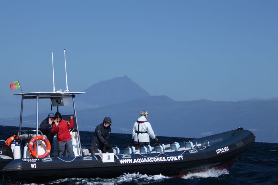 Pico Island: Azores Whale & Dolphin Watching on Zodiac Boat - Pico’s marine highway: what makes this Zodiac tour worth it