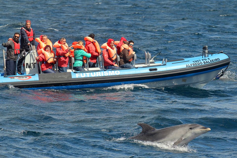 Pico Island: Whale Watching Experience from Lajes do Pico - Whale and dolphin spotting away from the busiest areas