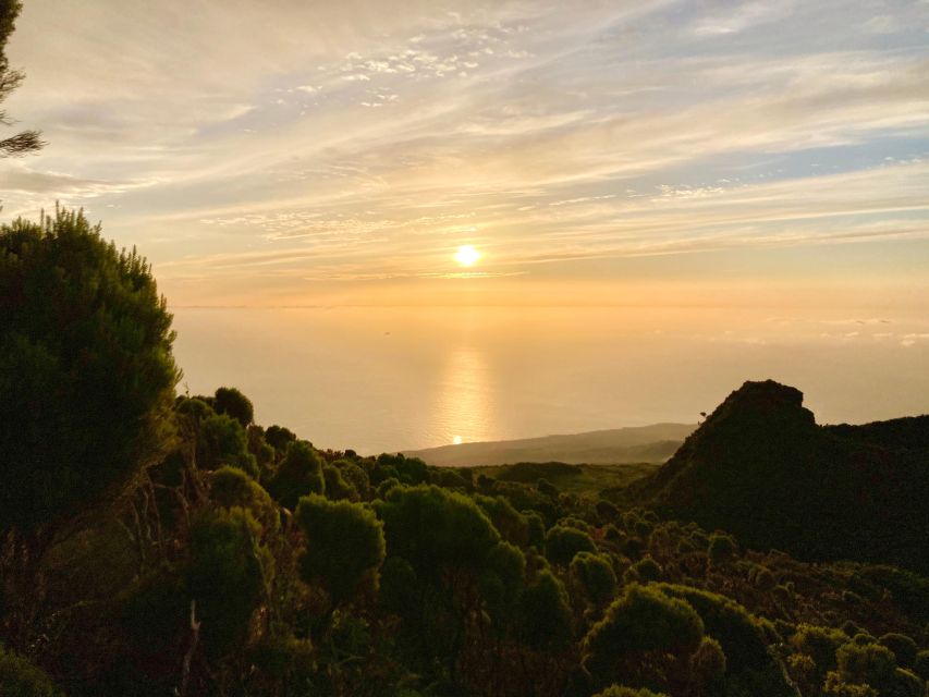 Pico Mountain Climb: Your Path to Portugal’s Highest Point - Why the Mount Pico climb feels like a summit, not a stroll
