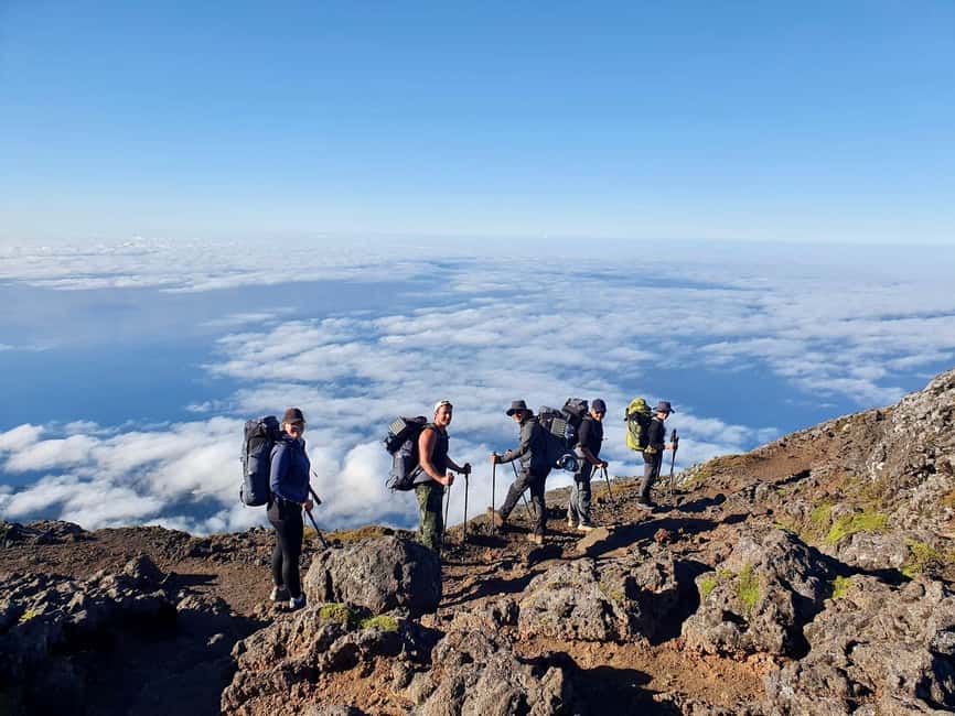 Pico Mountain Climb: Your Path to Portugal’s Highest Point - Lush vegetation meets tough geology: what the first phase is really teaching