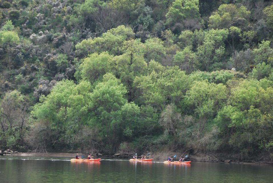 Pinhão: 4 Hour Douro Valley Kayak Rental - Your 4-hour Douro plan: a self-guided paddle with freedom